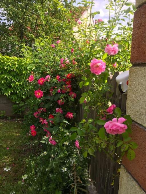 Ferienhaus Mit Garten In Thermennaehe Strebersdorf Buitenkant foto