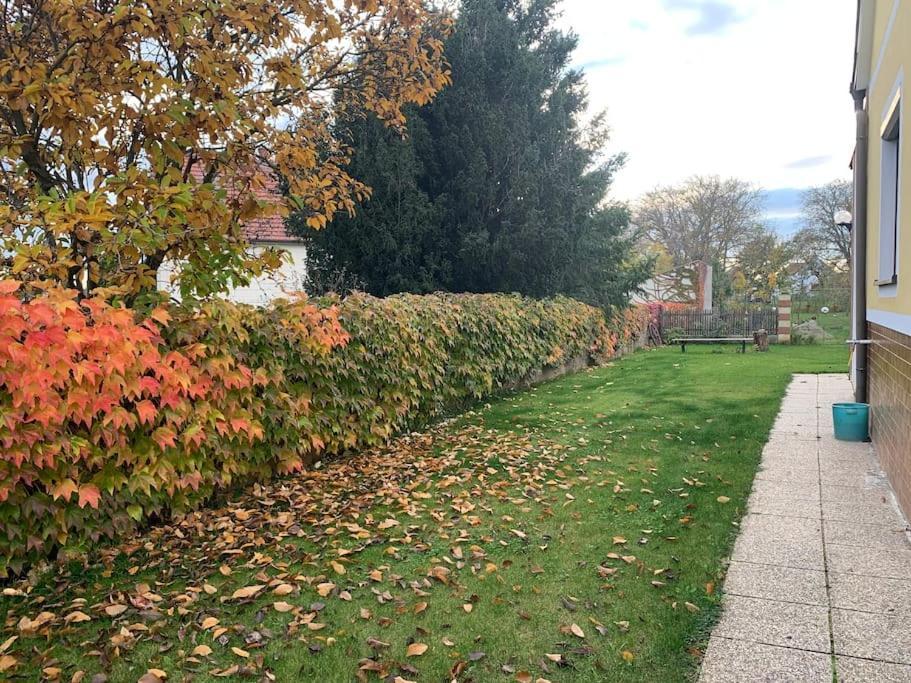 Ferienhaus Mit Garten In Thermennaehe Strebersdorf Buitenkant foto